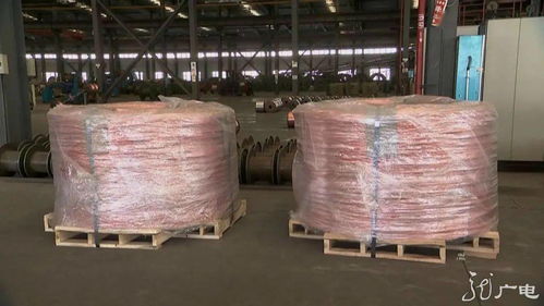 龙江振兴正当时 老国企混改闯新路，电力电缆产业激活高质量发展内生动力